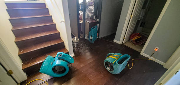 Best 24/7 water damage repair  in Bee Ridge, FL