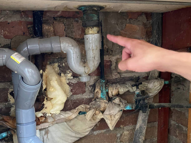 Professional Water damage restoration in Bee Ridge, FL