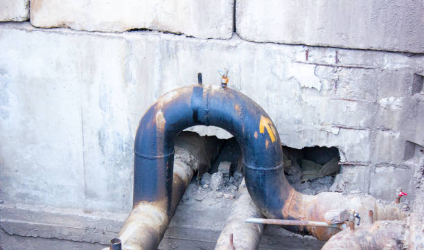 Best Flood damage cleanup  in Bee Ridge, FL