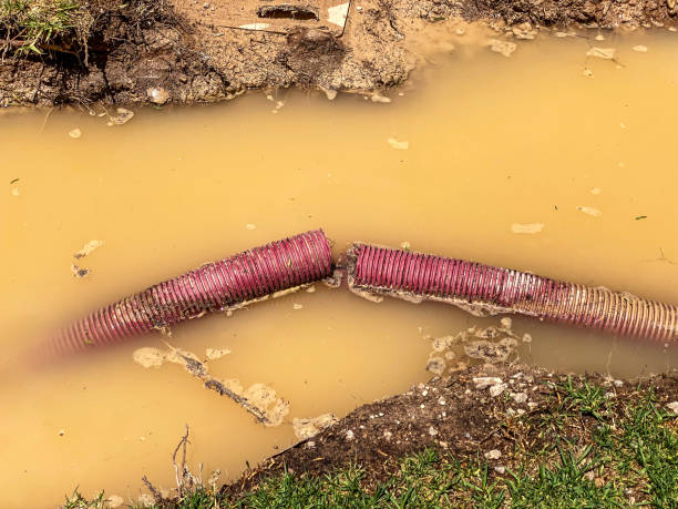 Best Basement water damage restoration  in Bee Ridge, FL