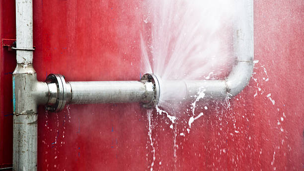 Best Local water damage restoration  in Bee Ridge, FL